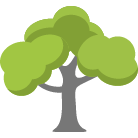 Dayton Trees Removal