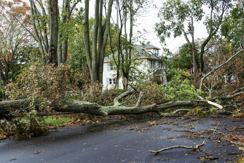 Storm Damage Debris
